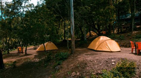 New Year Camping in Munnar- 2020 Munnar Tent Stay: Mob# 9500997733