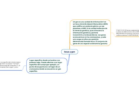 Locus Y Gen Mind Map