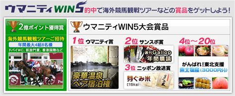 【ウマニティwin5】今年最後のwin5で最高のクリスマスに！｜競馬コラム｜競馬予想のウマニティ