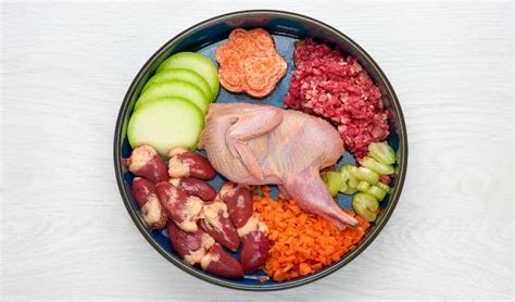 Homemade Dog Food Recipes: Vet Approved for 2024