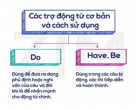 Tìm hiểu aux là gì trong ngữ pháp tiếng anh và cách sử dụng một cách