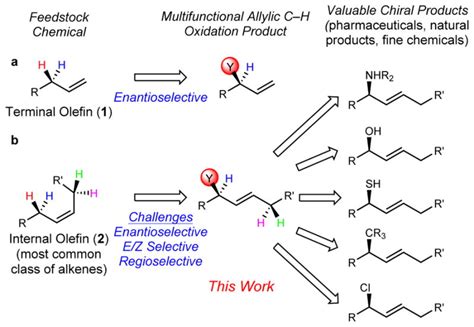 Catalytic Allylic Oxidation Of Internal Alkenes To A Multifunctional