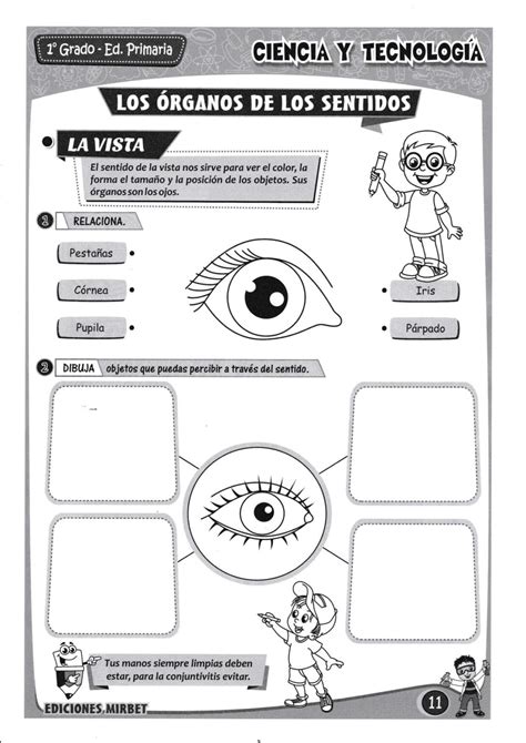 Cuaderno de trabajo área Ciencia y Tecnología 1º grado primaria