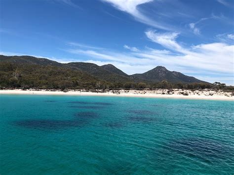 Wineglass Bay Cruises Coles Bay Updated 2019 All You Need To Know