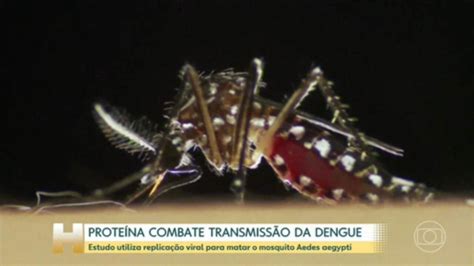 S O Paulo Confirma Primeira Morte Por Dengue Em Conhe A Trabalho