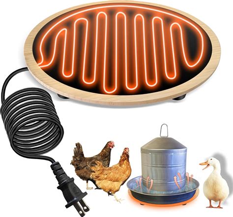 Amazon Chicken Water Heater Heated Chicken Waterer W Heated