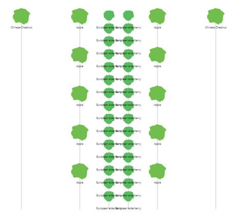 Design Af Kologisk Skovlandbrug Med N Dder Frugt Og B R Regen Farmer