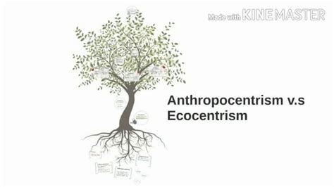 Ecocentrism And Anthropocentrism Youtube