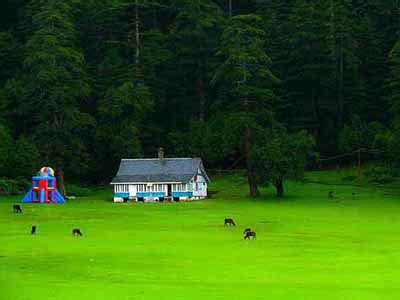 Dalhousie Tour (23399),Holiday Packages to Dalhousie, Khajjiar