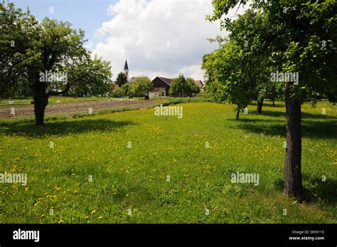Hawkbits hi-res stock photography and images - Alamy