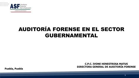 Pdf AuditorÍa Forense En El Sector Gubernamental Auditoria · Marco