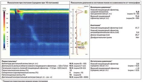 Data of examination of patient B. (explanation within the text ...