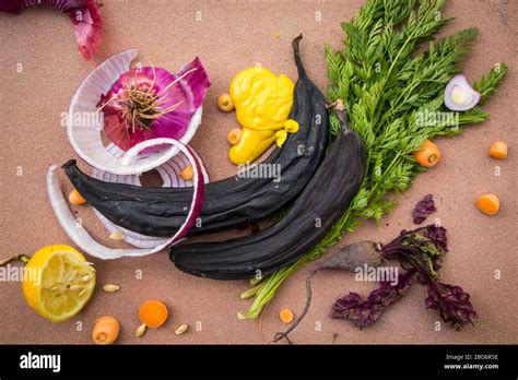 composting scraps  fruits  vegetables stock photo alamy