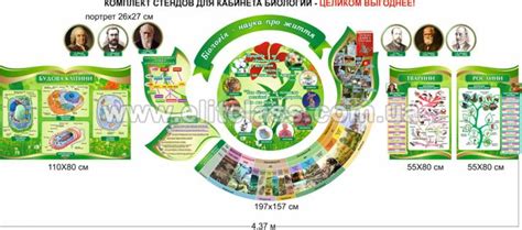 #стенд #Біологі #кабінет #Стенды для кабинета биологии - стенди до ...