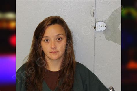 Morgan Mccullough Mcintosh County Jail Bookings