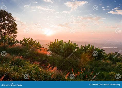 Morning Sunrise in the Mountains Stock Image - Image of natural, color ...