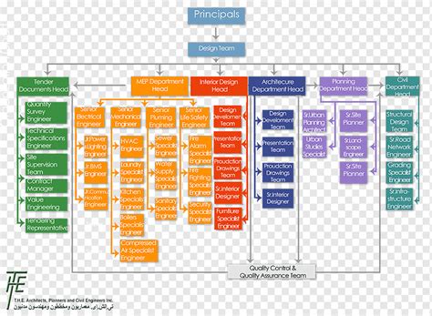 Organizational Chart Structure Business Consultant Text People