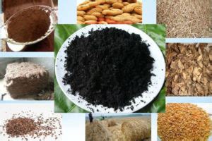 Simplified Analysis Of Biomass Carbonization Process