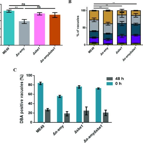 Starch Branching Enzyme 1 Sbe1 Is Important For Replication Of