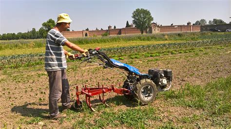 Il Mosaico Servizi Cooperativa Sociale Agricoltura Sociale Lombardia