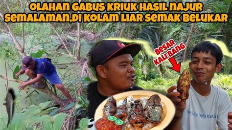 Gabus Kriuk Bumbu Rahasia Serba Gunahasil Najur Semalaman Di Kolam