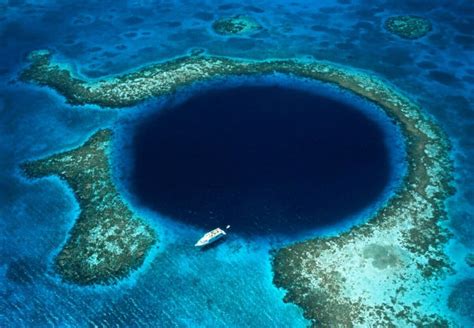 Novo Tipo De Vírus é Descoberto Na Fossa Das Marianas O Lugar Mais