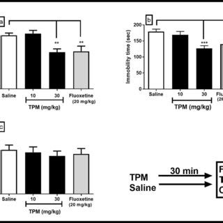 Effect Of Glibenclamide Gli On Topiramate TPM Anti Immobility