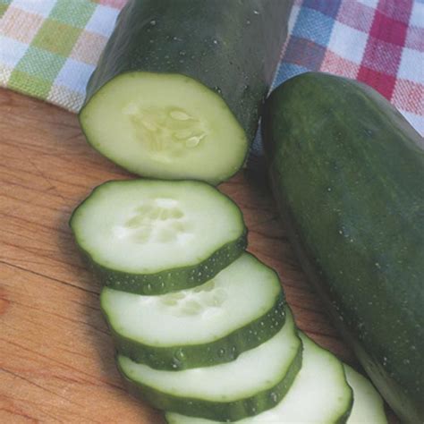 Burpless Cucumber (Cucumis sativus) - MyGardenLife