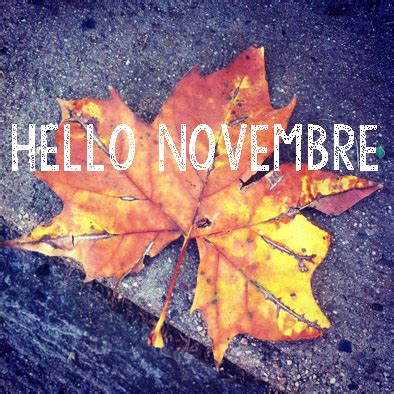 Hello Novembre