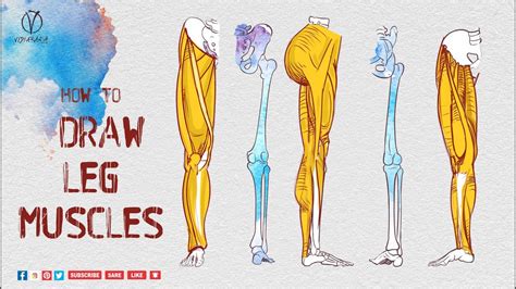 How To Draw Hamstrings Leg Anatomy For Artists Vidyaranya Arts Youtube