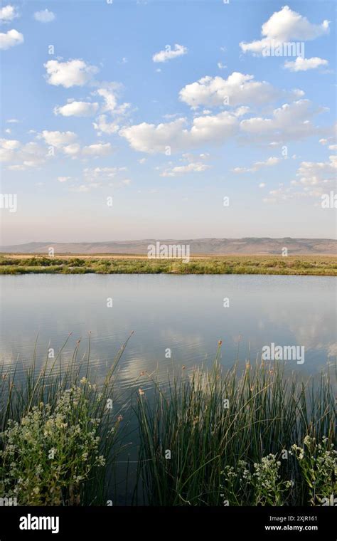 Crystal Crane Hot Springs Hi Res Stock Photography And Images Alamy