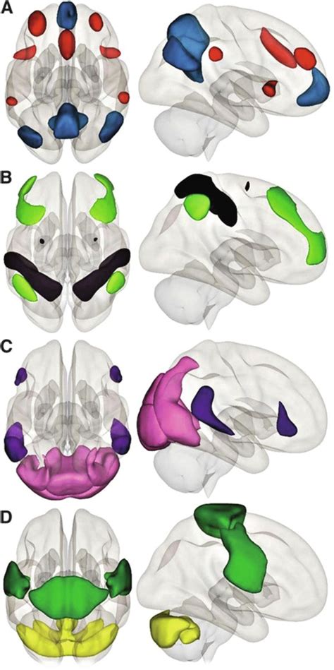 Postoperative Cognitive Dysfunction And Delirium Anesthesia Key