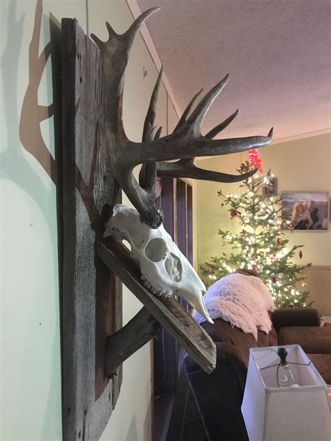 Diy European Mount Deer Mount Decor European Mount Diy European Deer Mount