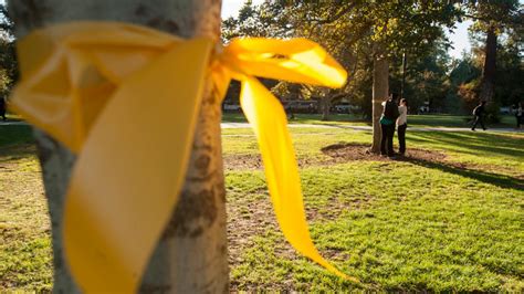 Veterans Week Yellow Ribbon Tying Open To All Uc Davis