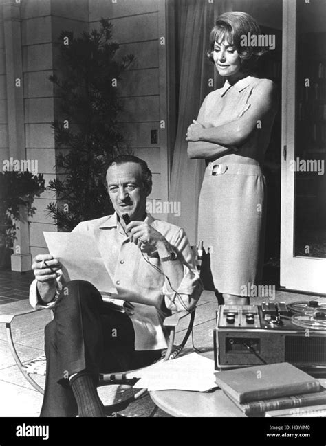 THE IMPOSSIBLE YEARS, David Niven, Lola Albright, 1968 Stock Photo - Alamy