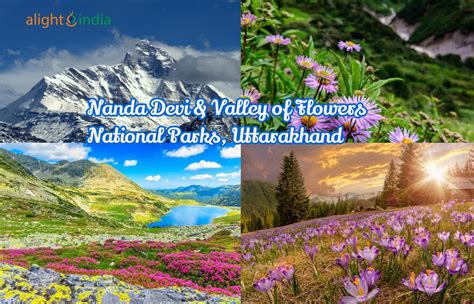 Nanda Devi & Valley of Flowers: The Feel Of Joy! | AlightIndia