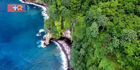 Isla Del Coco Celebra El 40 Aniversario Como Parque Nacional Faico