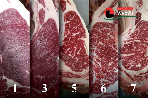 The Distinctive Marbling Of Wagyu Beef Wild Coast Wagyu