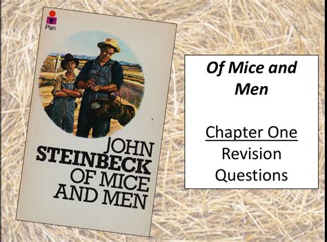 Of Mice And Men Revision Quiz Chapter One Teaching Resources