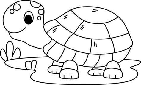 Tortoise Coloring Pages For Kids