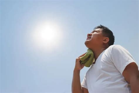 Heat Stroke What Are Symptoms First Aid Tips And What To Do To Avoid It