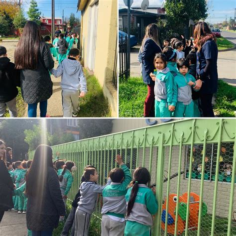 Salida Pedagógica 1 básico Conociendo Nuestro Entorno Colegio