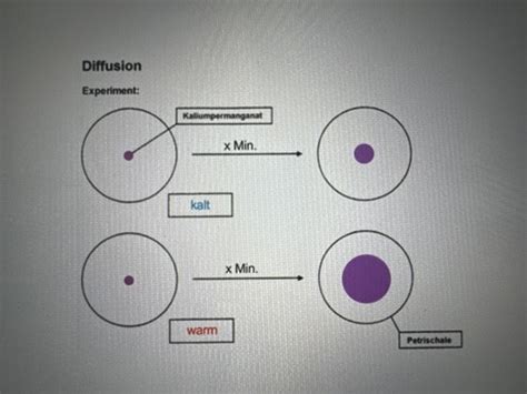 Biologie Begriffe Karteikarten Quizlet