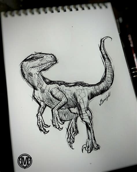 Velociraptor Sketch By Constantscribbles On Deviantart Dinosaur