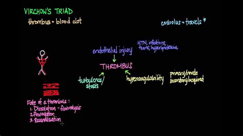 What Best Describes Virchow's Triad