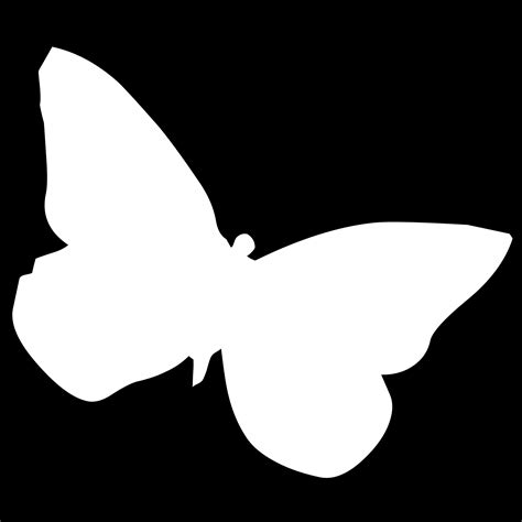 Download free photo of Drawing,white,butterfly,black,background - from ...