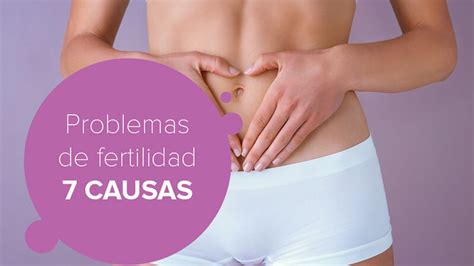 Problemas De Fertilidad Las Causas M S Comunes