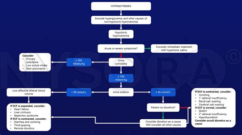 Hyponatremia Differential Diagnosis Nysora