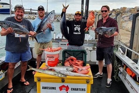 Boat Fishing Cruising Charter Cape Jervis Tripadvisor