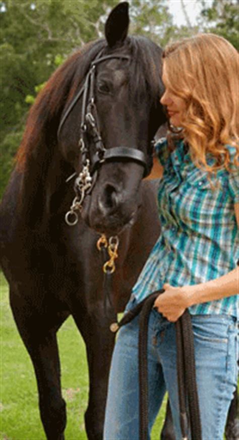 Gastric Ulcers in Horses, Explained